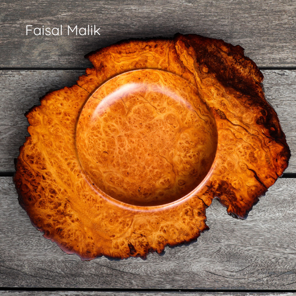 Faisal Malik bowls